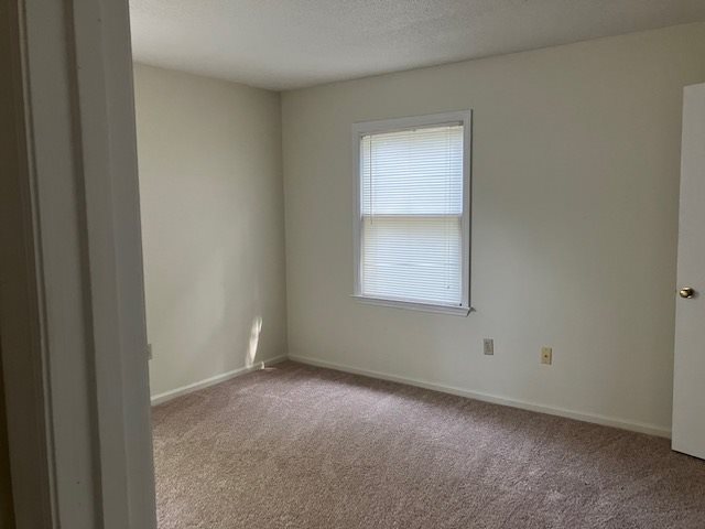 Gallery Photo 5